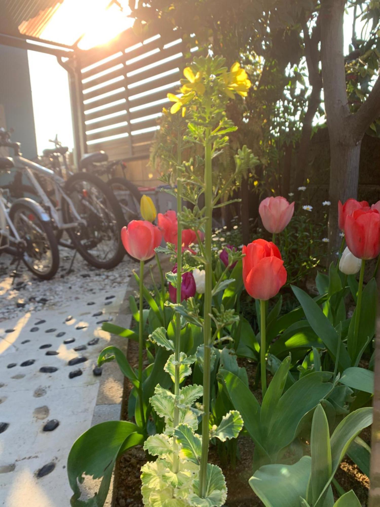 幽舍の庭 Appartement Izumisano Buitenkant foto